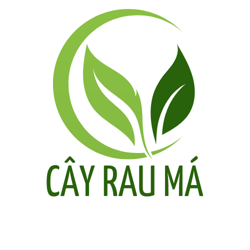 cayrauma.com