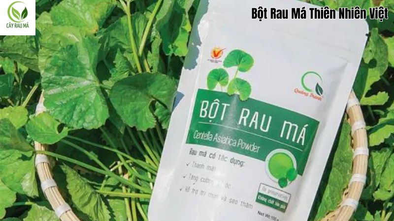 Phát huy tính đa dụng của bột rau má 