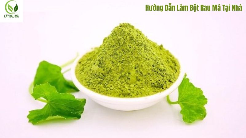 hướng dẫn làm bột rau má tại nhá