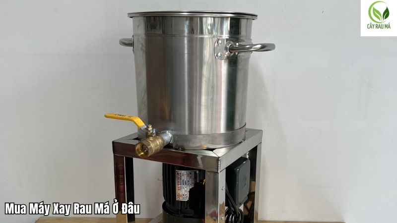 Cấu tạo máy xay rau má