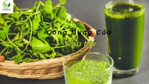 công dụng của rau má